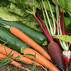 Pourquoi pailler son potager ?