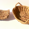 Quels sont les différents types d'osier ?