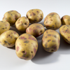 Peut-on pailler les pommes de terre ?