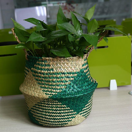 Cache Pot Osier Cactus