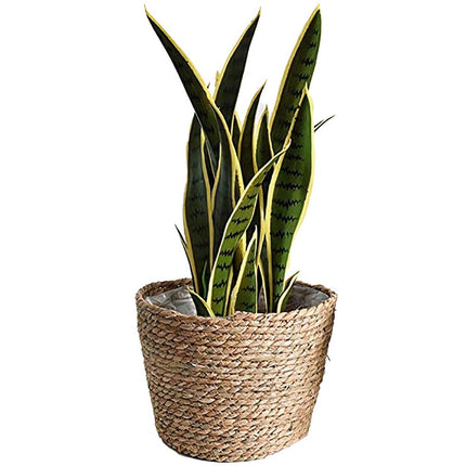 Cache Pot Osier Fibre Naturelle