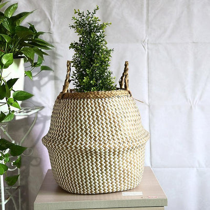 Cache Pot Osier Panier