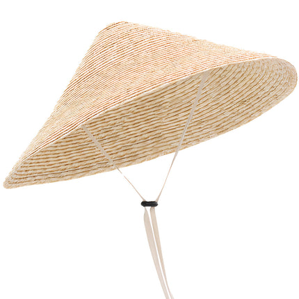 Chapeau De Paille Asiatique