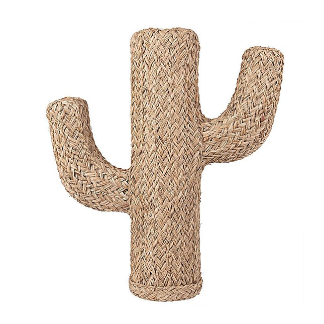 Cactus Doum