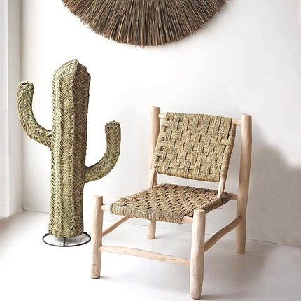 Cactus 1 20 M Osier
