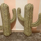 Cactus Décoration Osier
