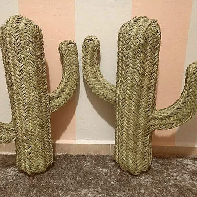 Cactus Décoration Osier