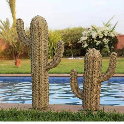 Cactus Osier Marrakech