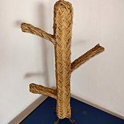 Cactus Osier Xxl