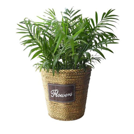Cache-Pot Osier Cache-Pot En