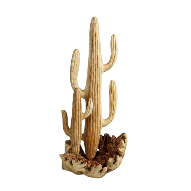 Cactus Bois Deco Extérieure