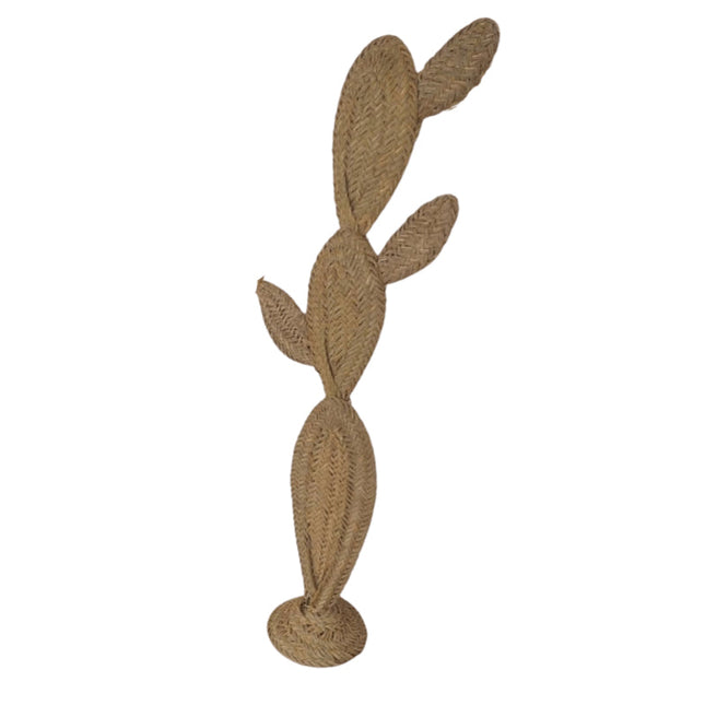 Cactus Deco Osier