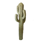 Cactus Géant Déco