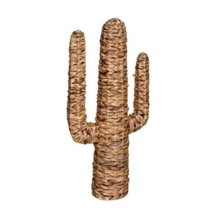 Cactus Osier 75 Cm