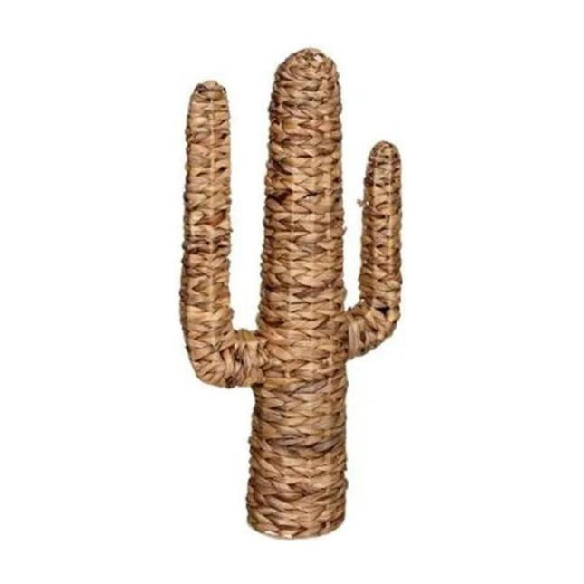 Cactus Osier 75 Cm