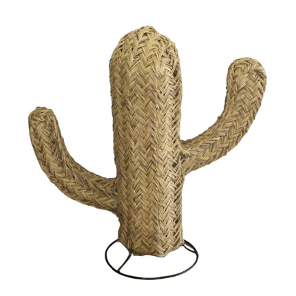 Deco Chambre Cactus