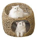Panier En Osier Chat Avec Coussins