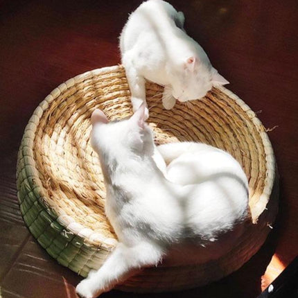 Panier Osier Chat Fait Main En