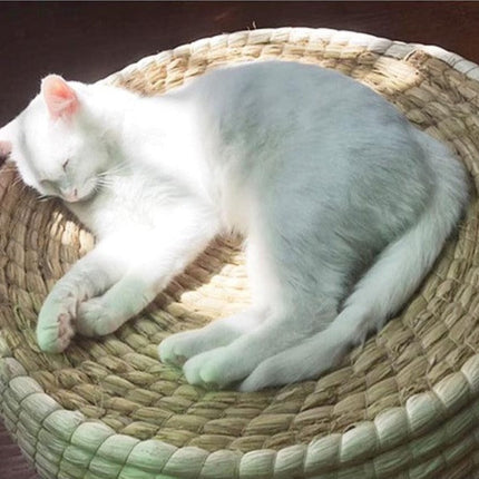 Panier Osier Chat Fait Main En