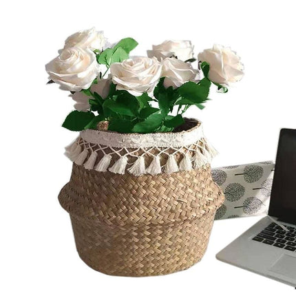 Cache-Pot Osier Xxl Beige