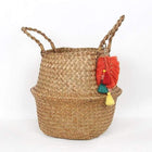 Cache-Pot Osier Sur Pied