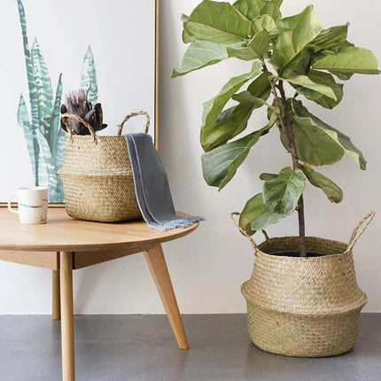 Cache Pot En Osier Solide S Cache-Pot Sur Pied