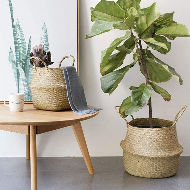 Cache Pot En Osier Solide S Cache-Pot Sur Pied