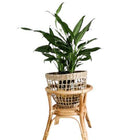 Cache Pot Sur Pied Bambou Cache-Pot En Osier