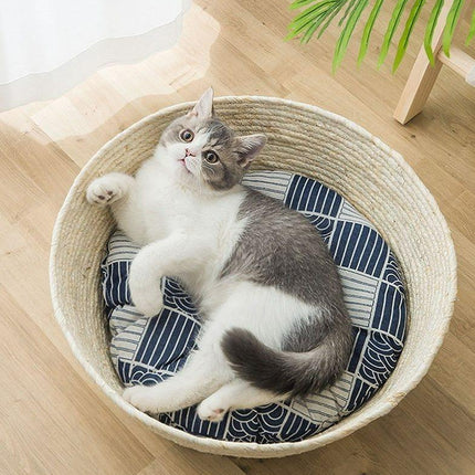 Grand Panier Osier Chat En