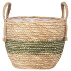 Cache-Pot Osier Cactus Cache-Pot En